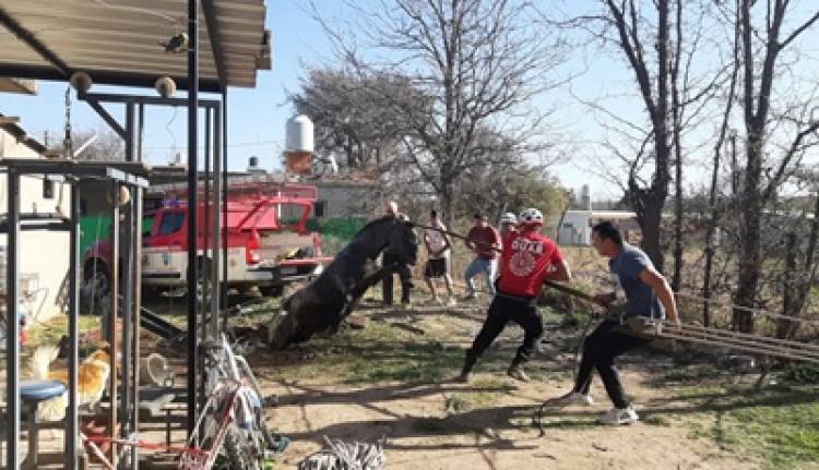 RESCATAN  UN CABALLO QUE CAYÓ A UN POZO CIEGO, EN SAN LORENZO TRASLASIERRA.