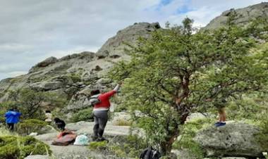 BOSQUES NATIVOS - PREOCUPADOS POR LAS "FÁBRICAS DE AGUA", REÚNEN TABAQUILLOS PARA REFOSRESTAR EN LOS GIGANTES.