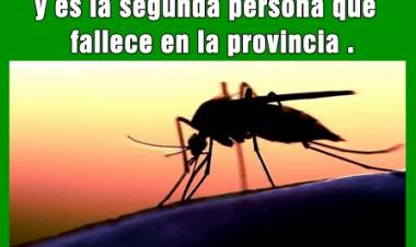 Dengue en Córdoba : Fallece un vecino de Los Cerrillos y es la segunda persona que fallece en la provincia .