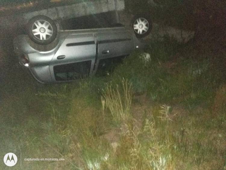 PAPAGAYOS,SAN LUIS : DOS ACCIDENTES DE TRÁNSITO POR ANIMALES SUELTOS EN RUTA 1, CERCA DE ESTA LOCALIDAD.