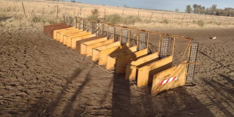 CLAUSURARON UNA CARRERA ILEGAL DE GALGOS, CERCA DE CANALS, CÓRDOBA.